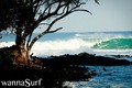 foto de surf