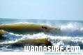 foto de surf